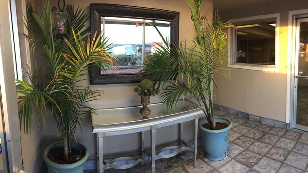 A reception area with a marble counter, potted plants, a mirror, and a view of the outside. - Hilltop Inn & Suites (Victorville)
