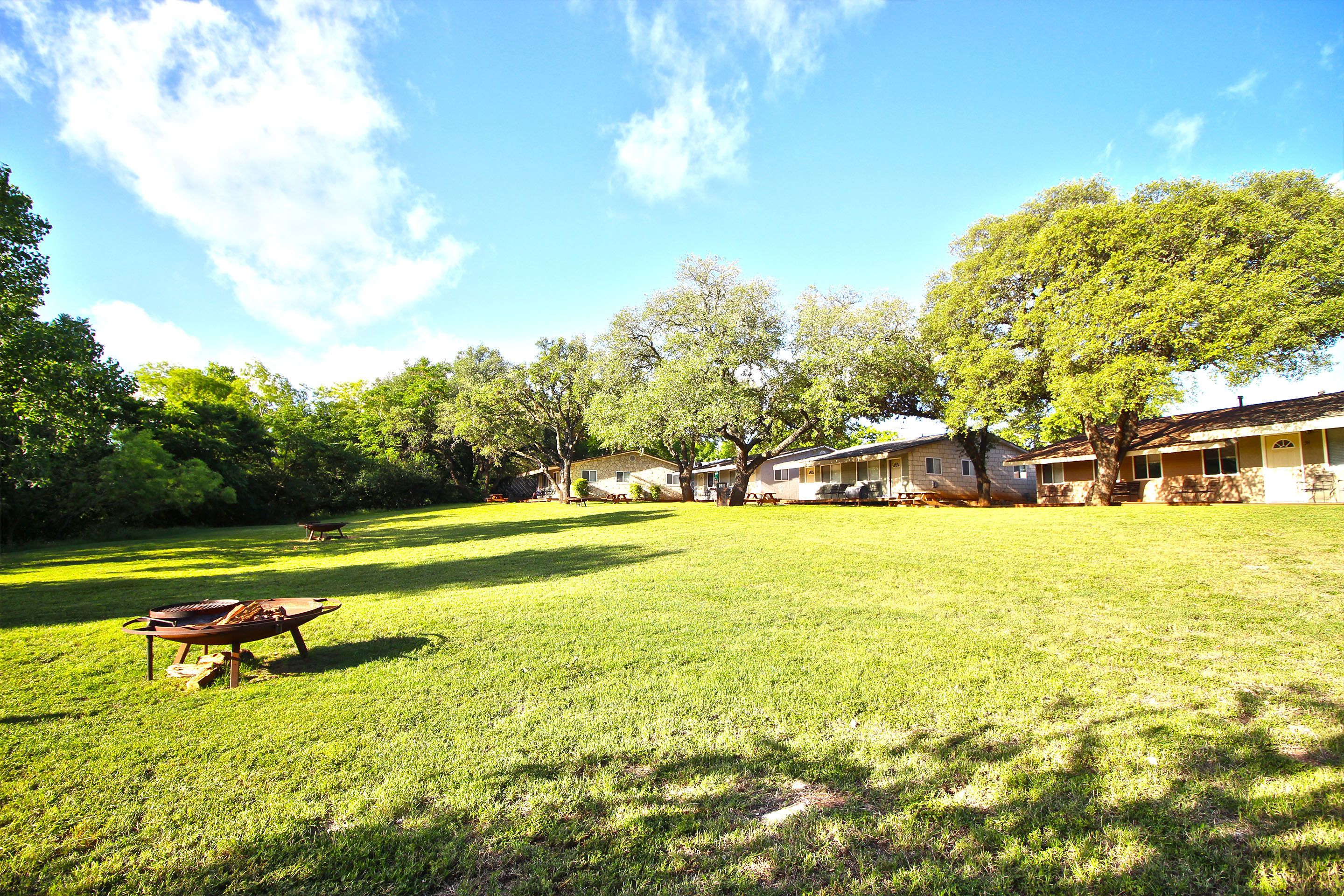 A grassy yard with a wheelbarrow, trees, and houses in the background.
