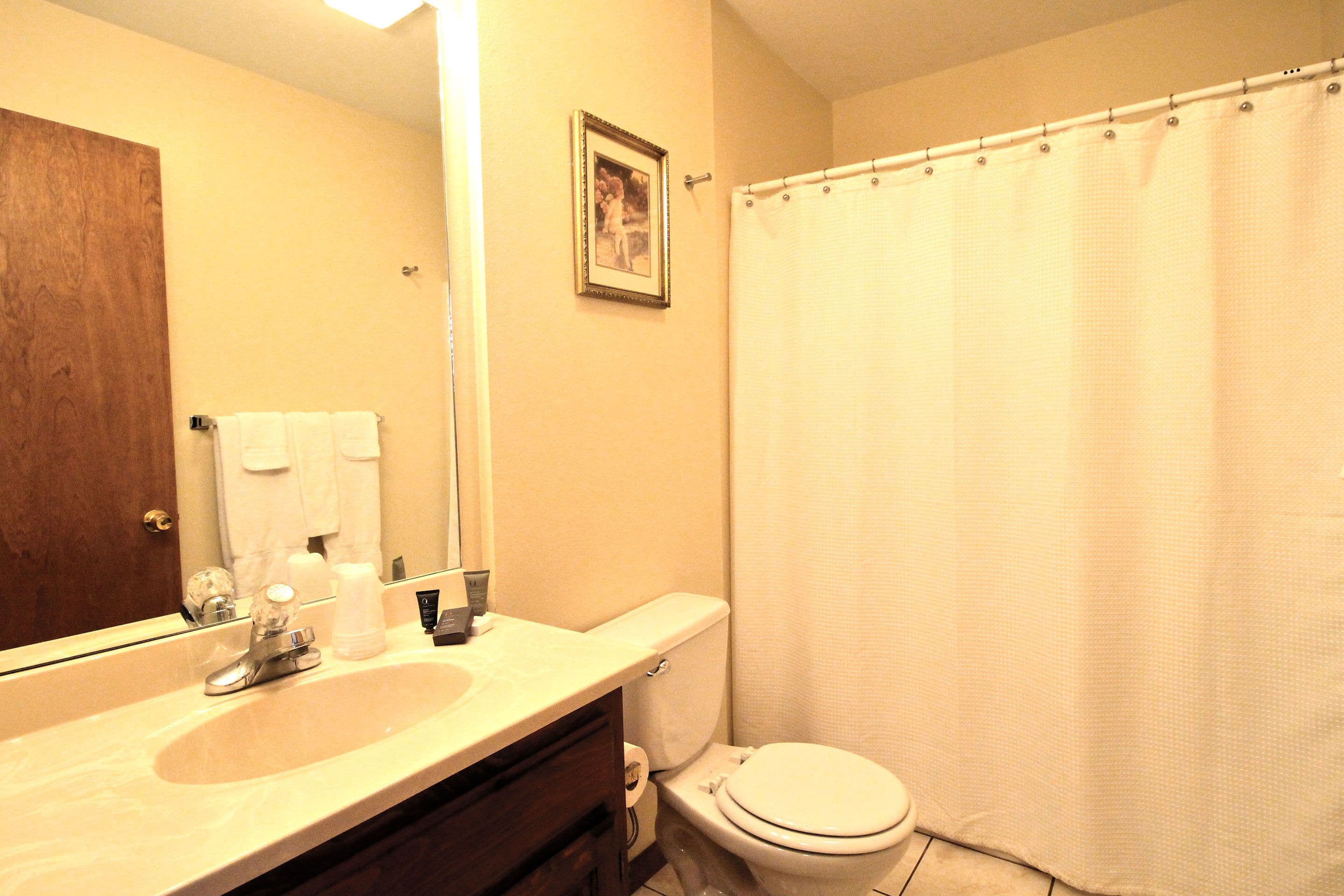 Une salle de bain équipée d’un lavabo, d’un miroir, de toilettes et d’un rideau de douche.