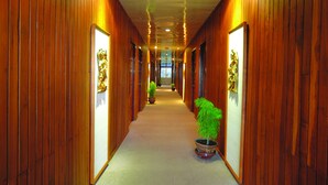 A hallway with wooden paneling, potted plants, and a person in the distance.