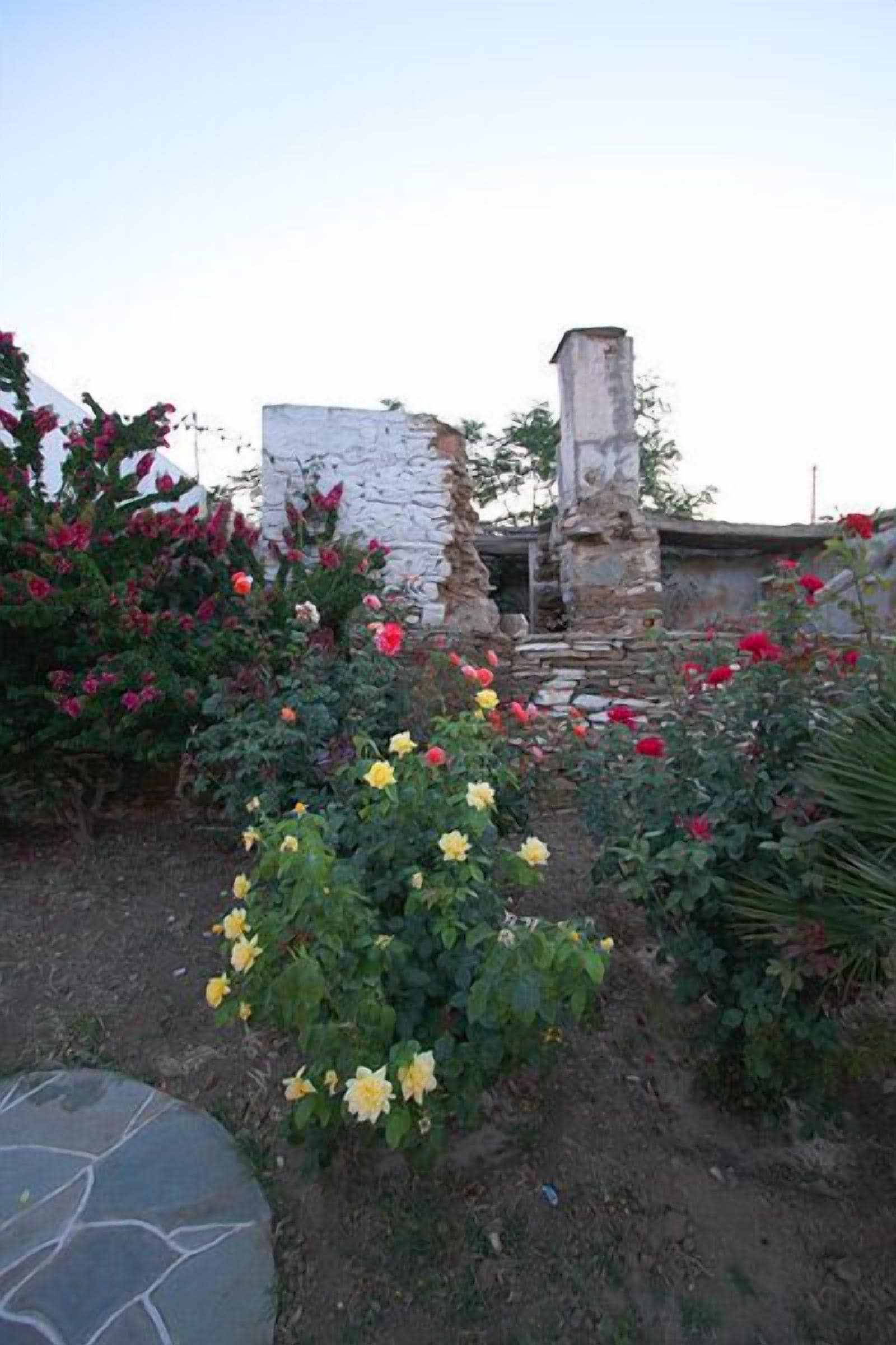 A garden with a stone wall and flowering plants.