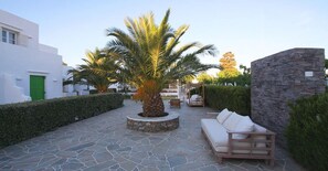 A courtyard with a palm tree, stone flooring, a white building, and a stone wall. - Smaragdi Hotel (Sifnos)