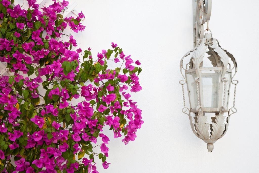 Pared blanca con un farol de metal colgante y un racimo de flores púrpuras.