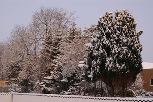 Un paisaje nevado con árboles y un edificio.