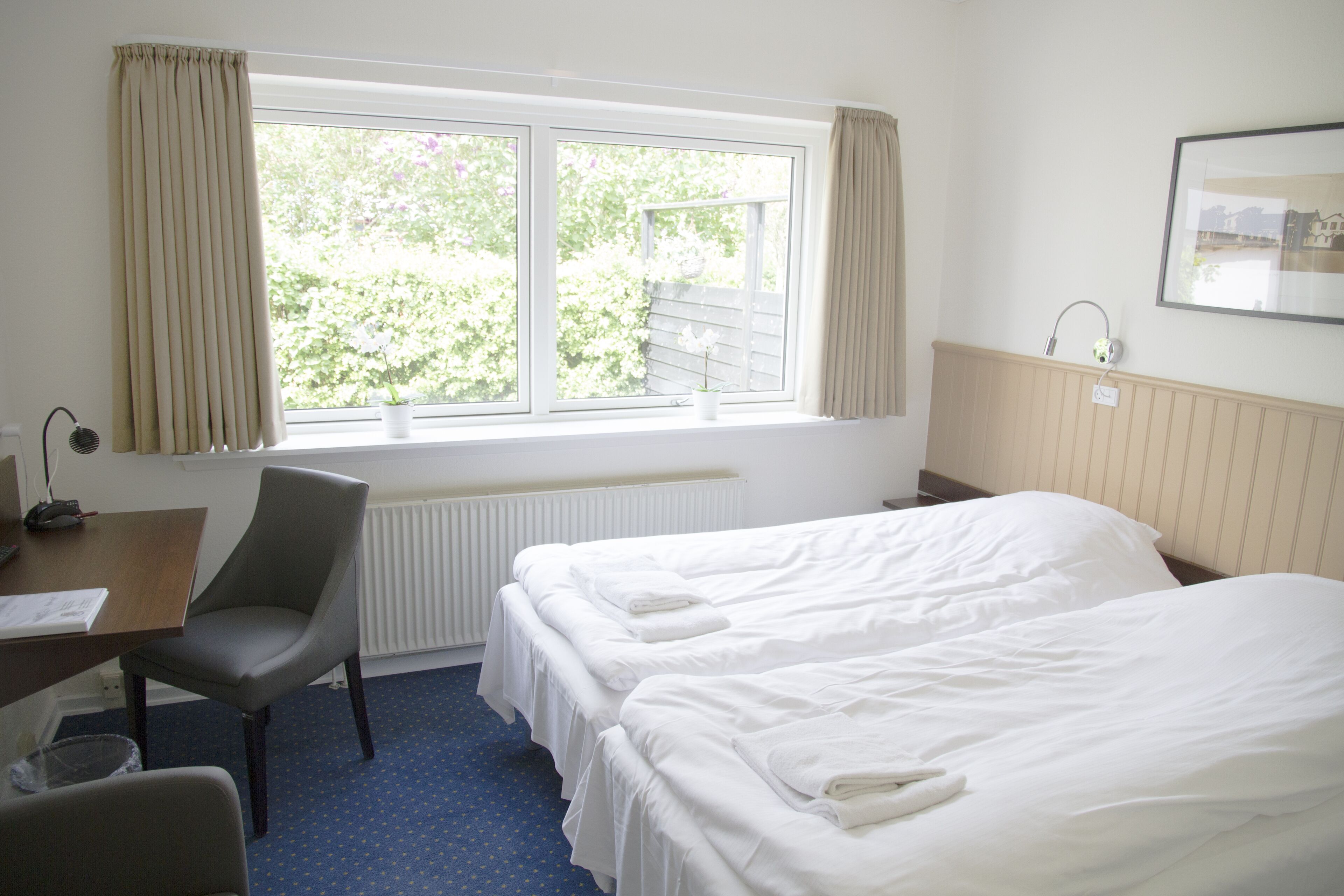 double room | 1 bedroom, desk, laptop workspace, free wifi