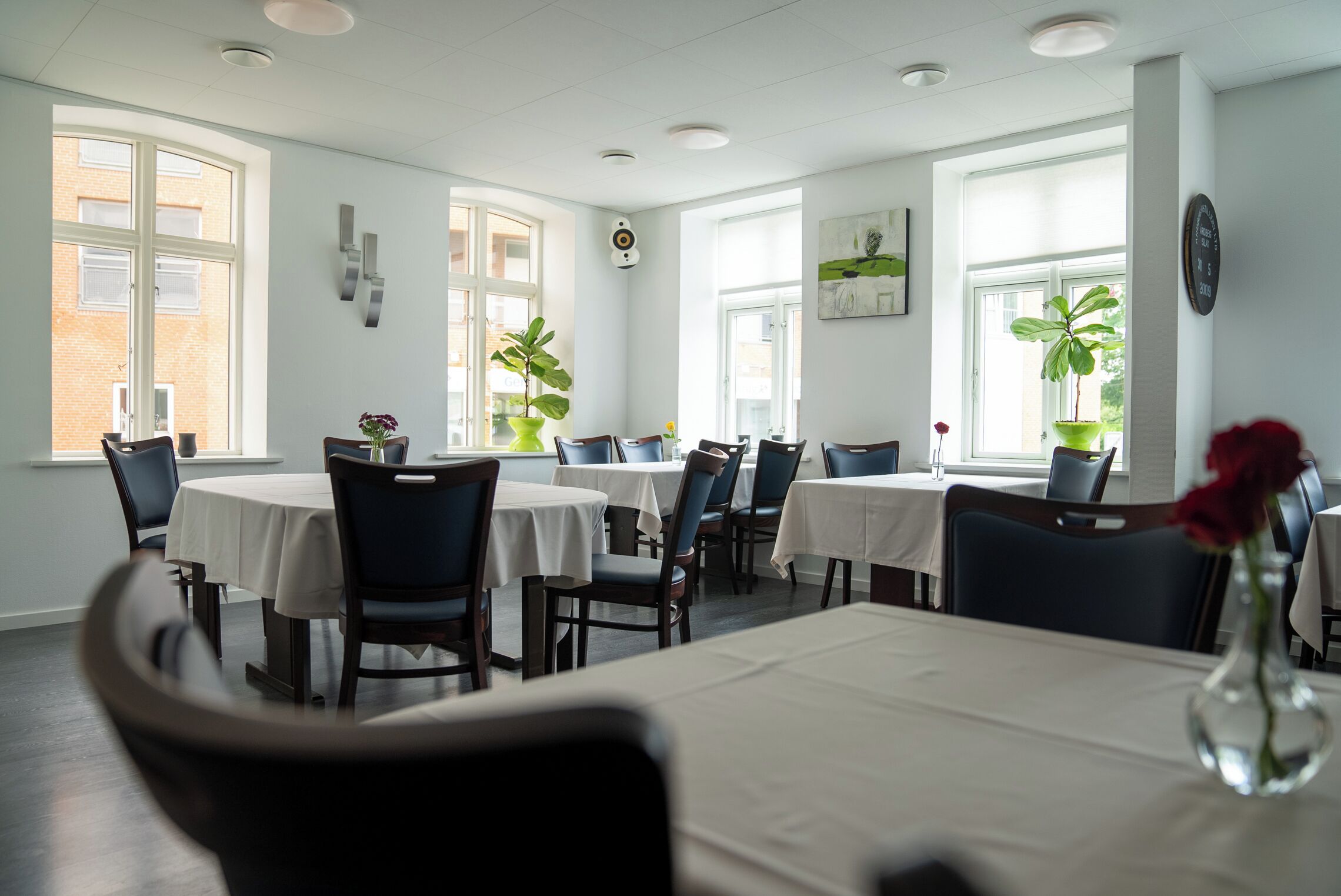 A dining area with round tables and chairs, large windows, and potted plants.