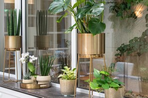 Colazione a buffet, servita tutte le mattine (23 EUR a persona) 