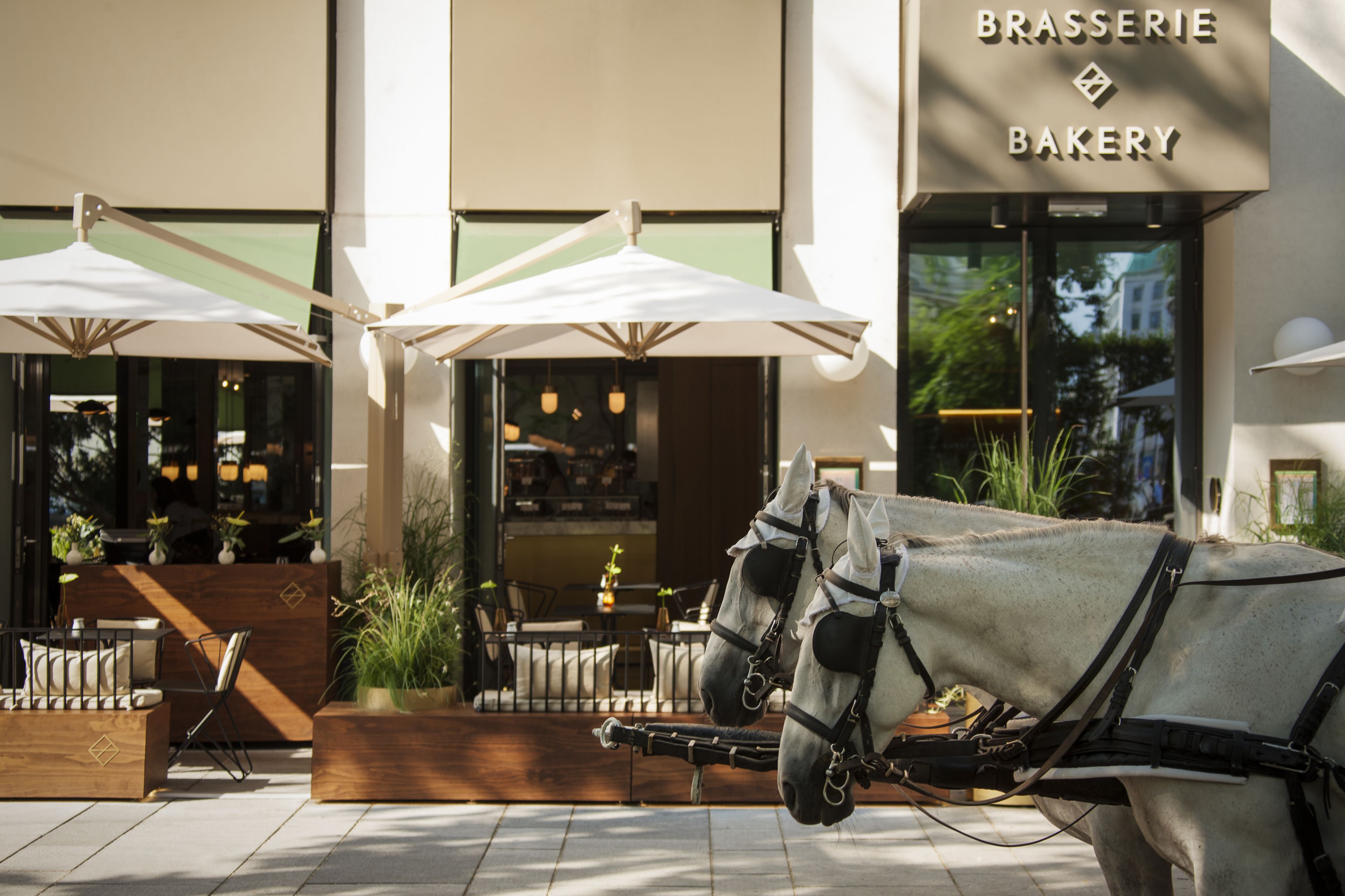 breakfast, lunch and dinner served