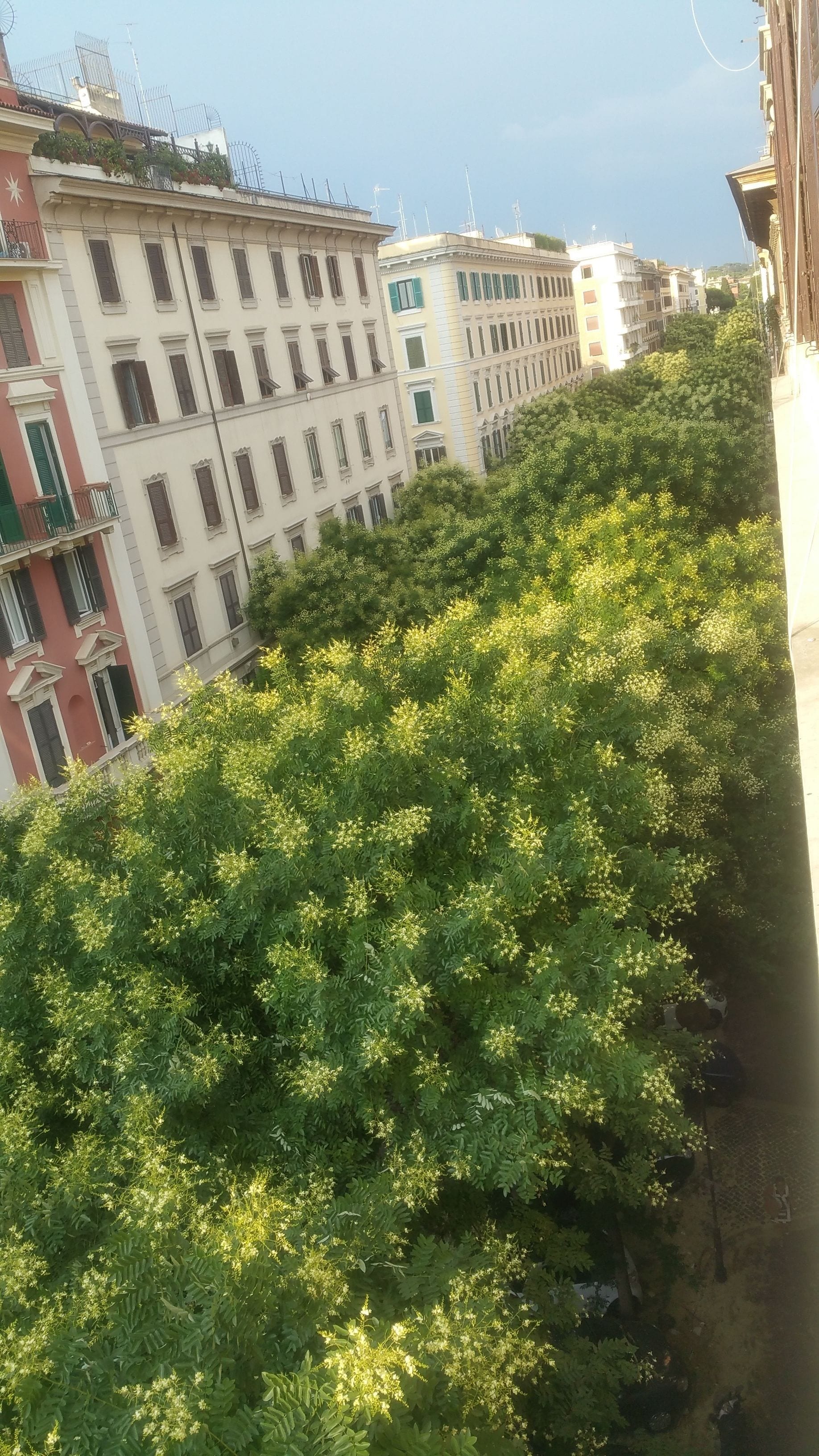 Foto - White Vatican