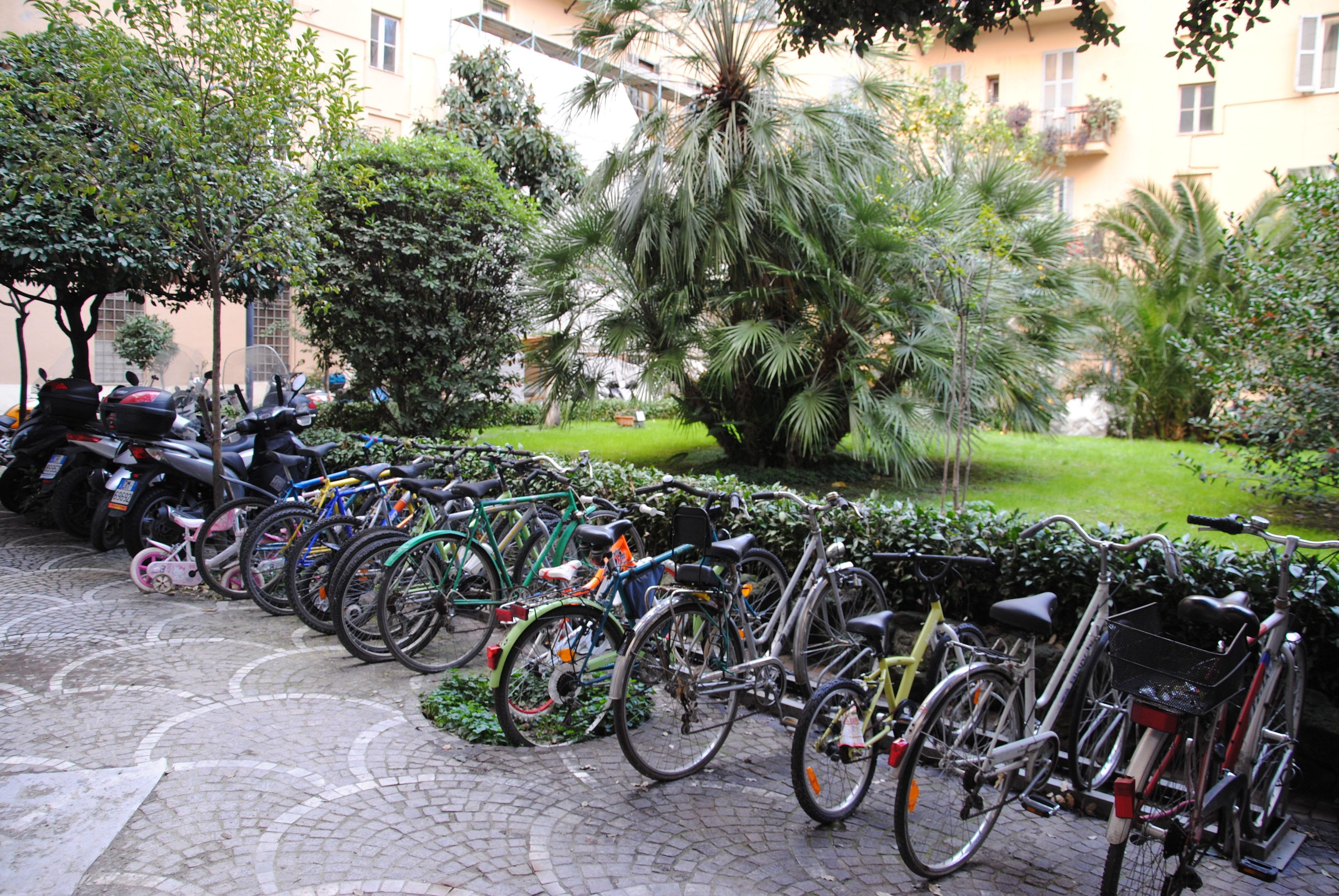 Foto - White Vatican