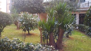 Un patio con diversas plantas, entre ellas palmeras y arbustos, frente a un edificio con balcones.