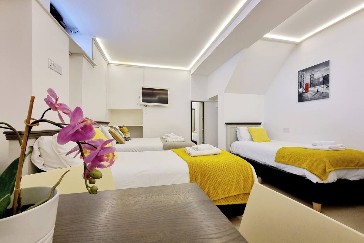 Ein Hotelzimmer mit zwei Betten, einem Tisch, einem Stuhl, einer Zimmerpflanze, einem Gemälde und einem Fernseher.