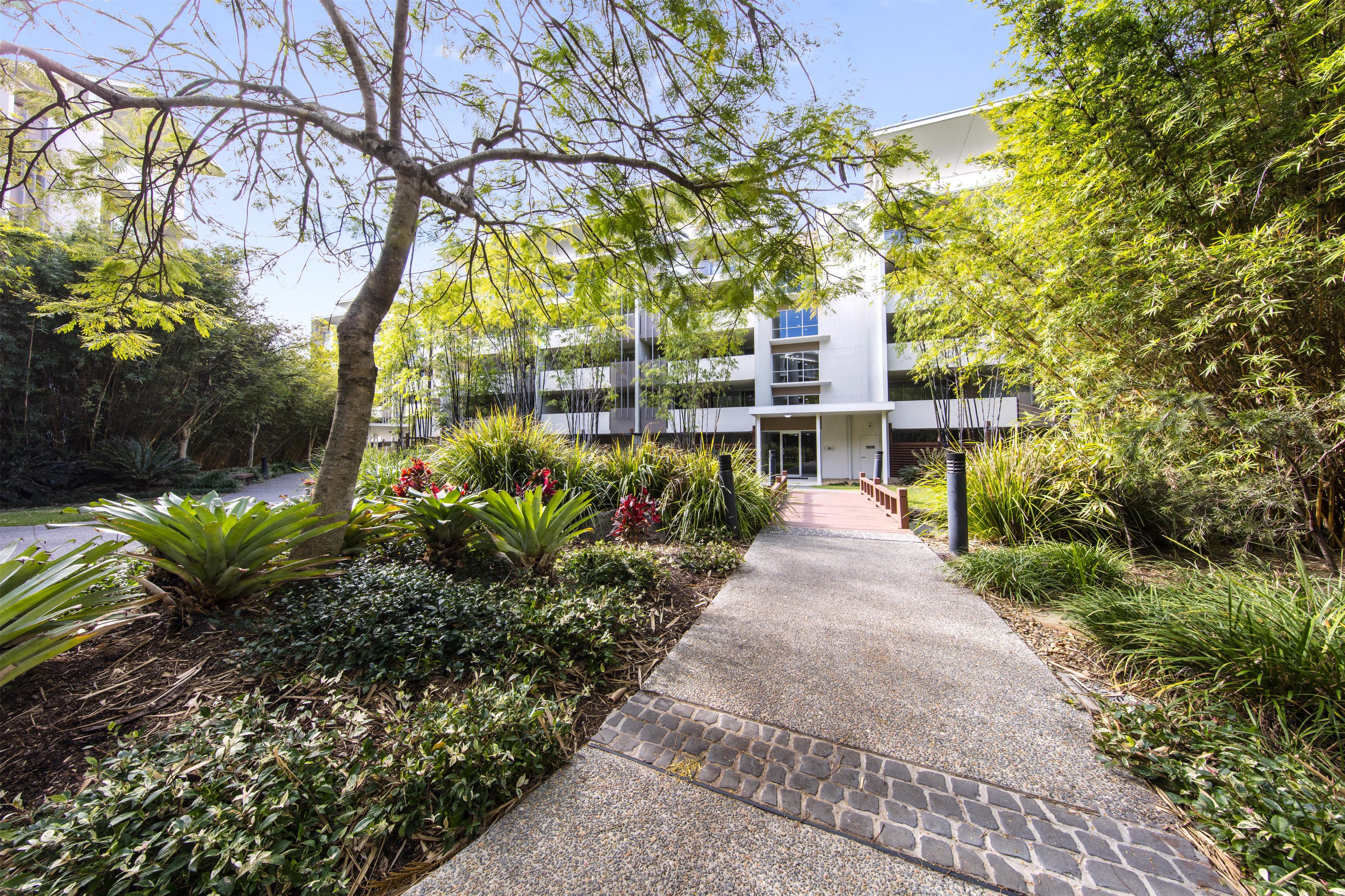 A pathway leading to a modern building with a glass facade, surrounded by lush greenery and a variety of plants.