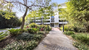 A pathway leading to a modern building with a glass facade, surrounded by lush greenery and a variety of plants.