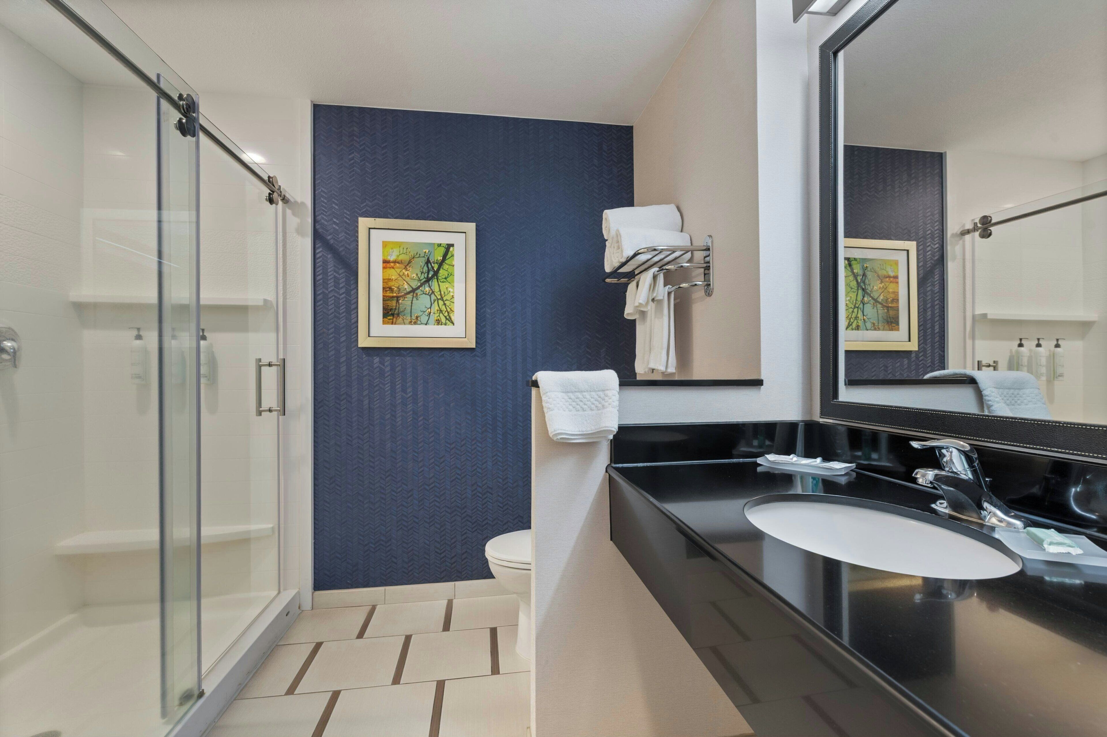 A modern bathroom with a glass shower enclosure, a black sink, and a large mirror.