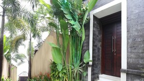 Un sendero estrecho bordeado por exuberante vegetación tropical que conduce a una puerta de madera oscura.
