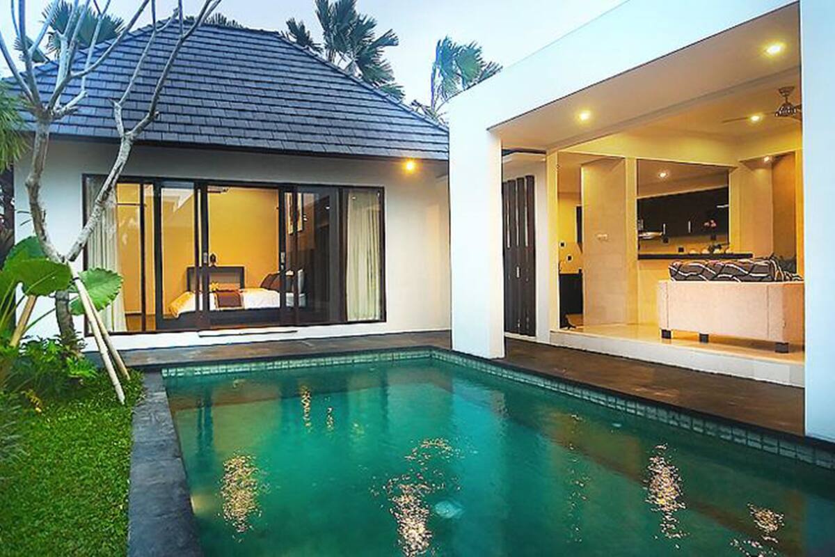 A modern house with a swimming pool, large windows, and a well-maintained garden.