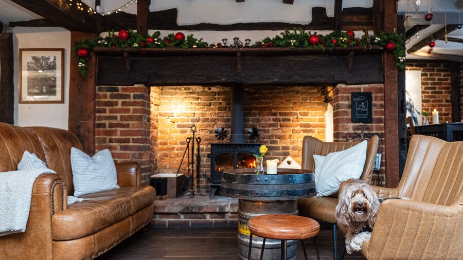 The Bull On The Green