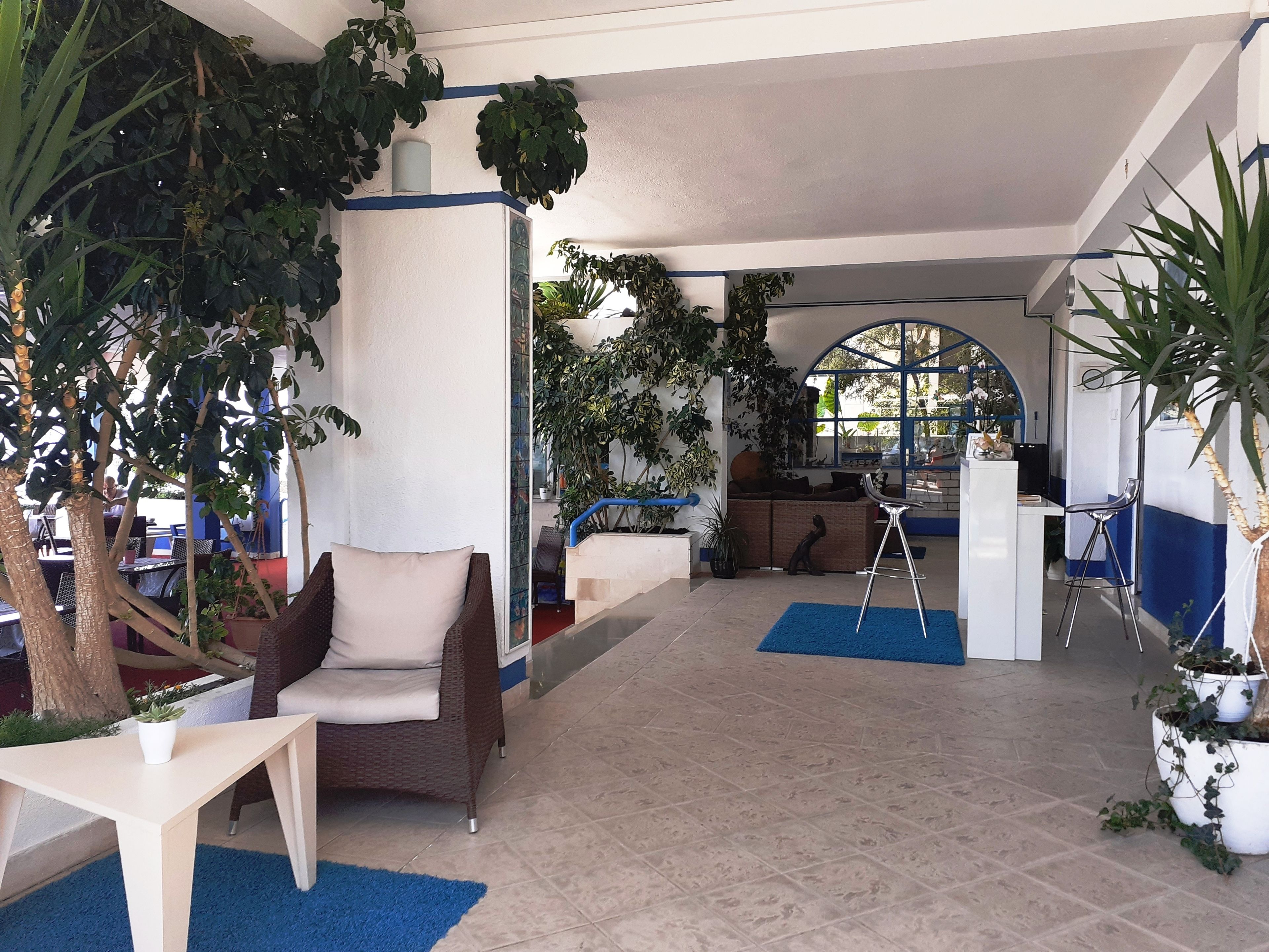 A spacious indoor area with a seating area, a sofa, a dining table, and multiple potted plants.
