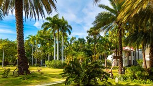A lush garden with palm trees, a pathway, and a building with a red roof. - Moulin Sur Mer (Saint-Marc)