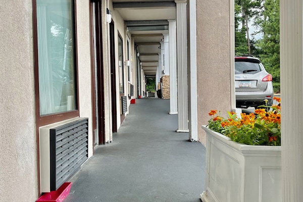 Standard Single Room, 1 King Bed, Roll-in Shower | View from room