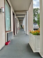 Single Room, Mobility Accessible | View from room