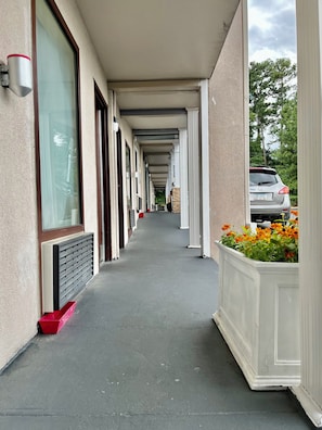 Chambre Simple Standard, 1 très grand lit, douche accessible en fauteuil roulant | Vue de la chambre