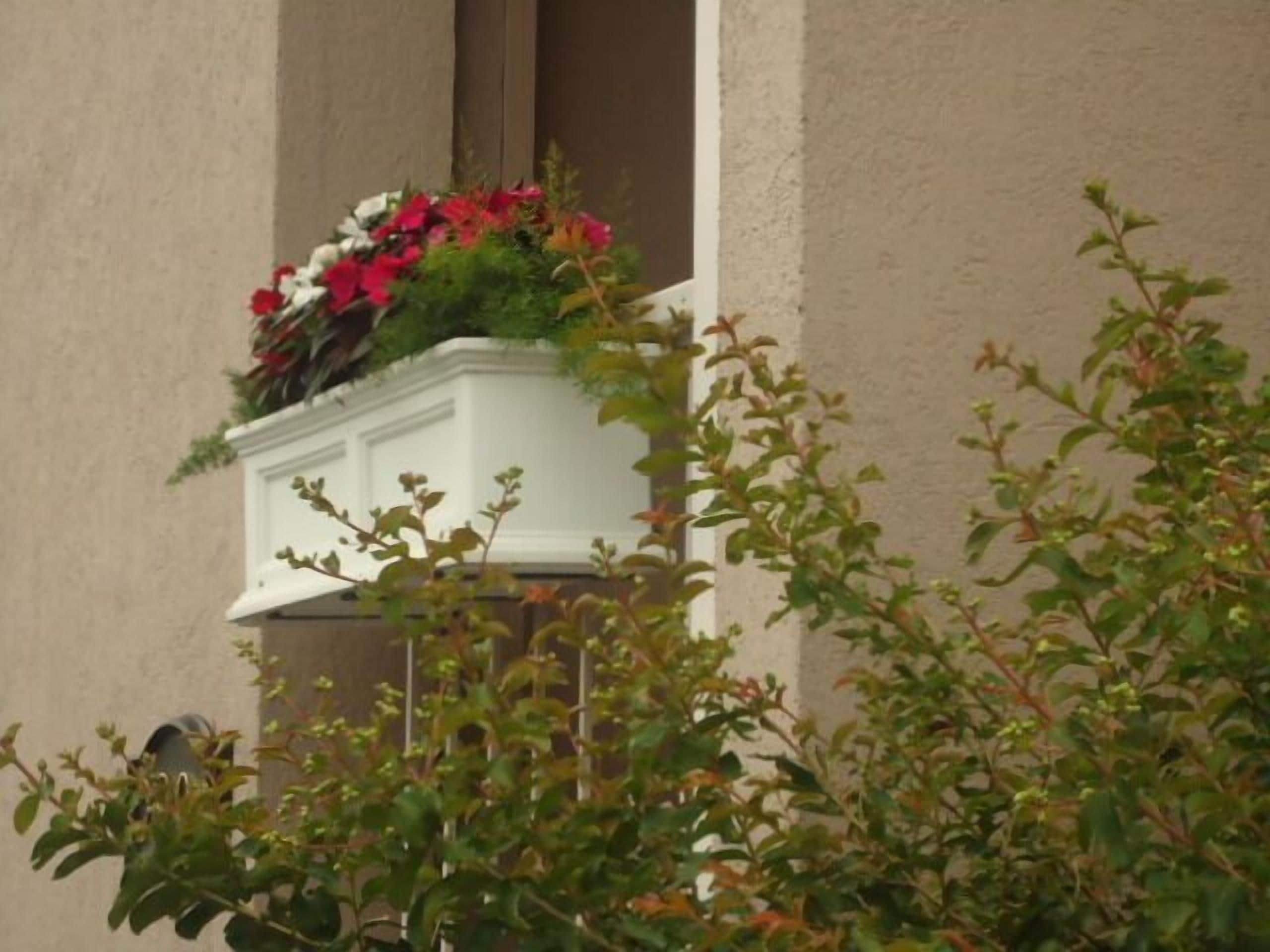 Een witte bloembak met bloemen aan een gevel.