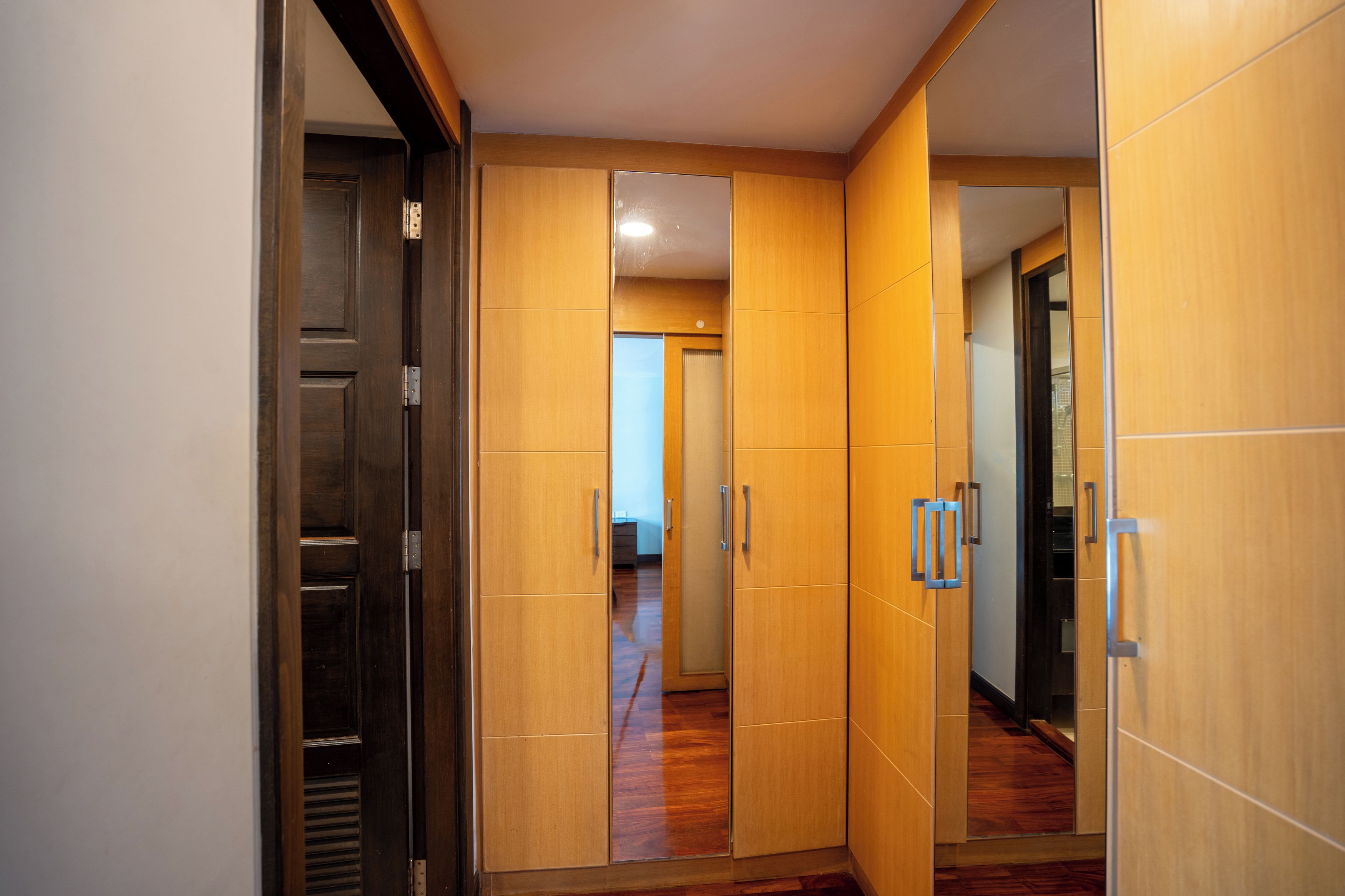 A hallway with wooden doors and a visible closet.