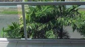 Standard Single Room | Terrace/patio