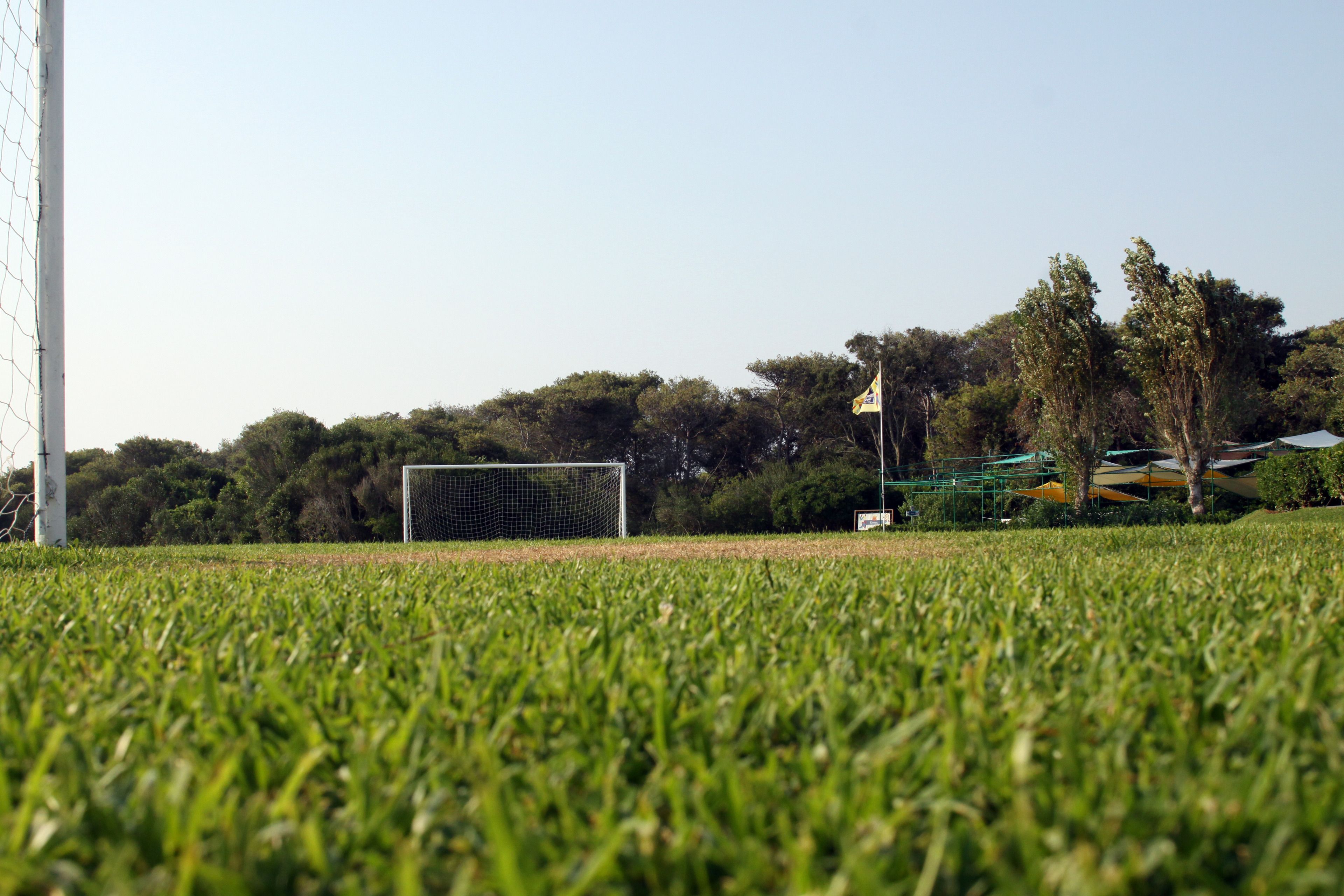 A grassy field with a soccer goal, trees, and a flagpole.