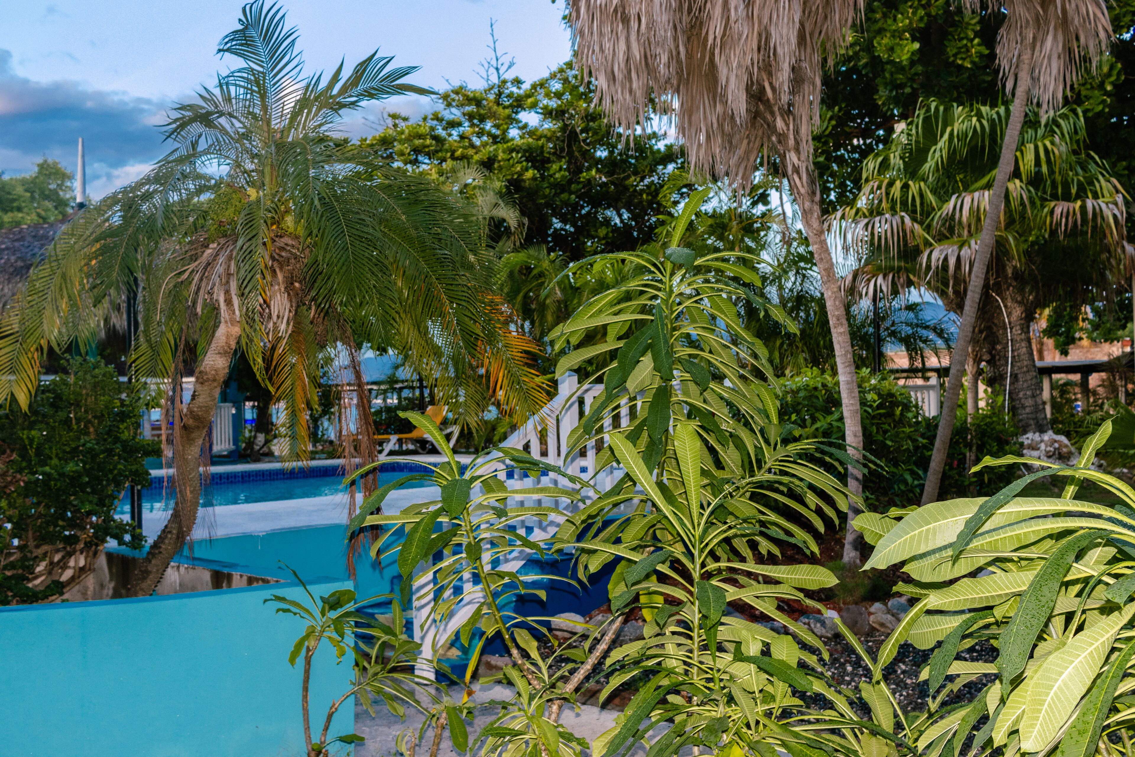 comfort room, 2 double beds, garden view | terrace/patio