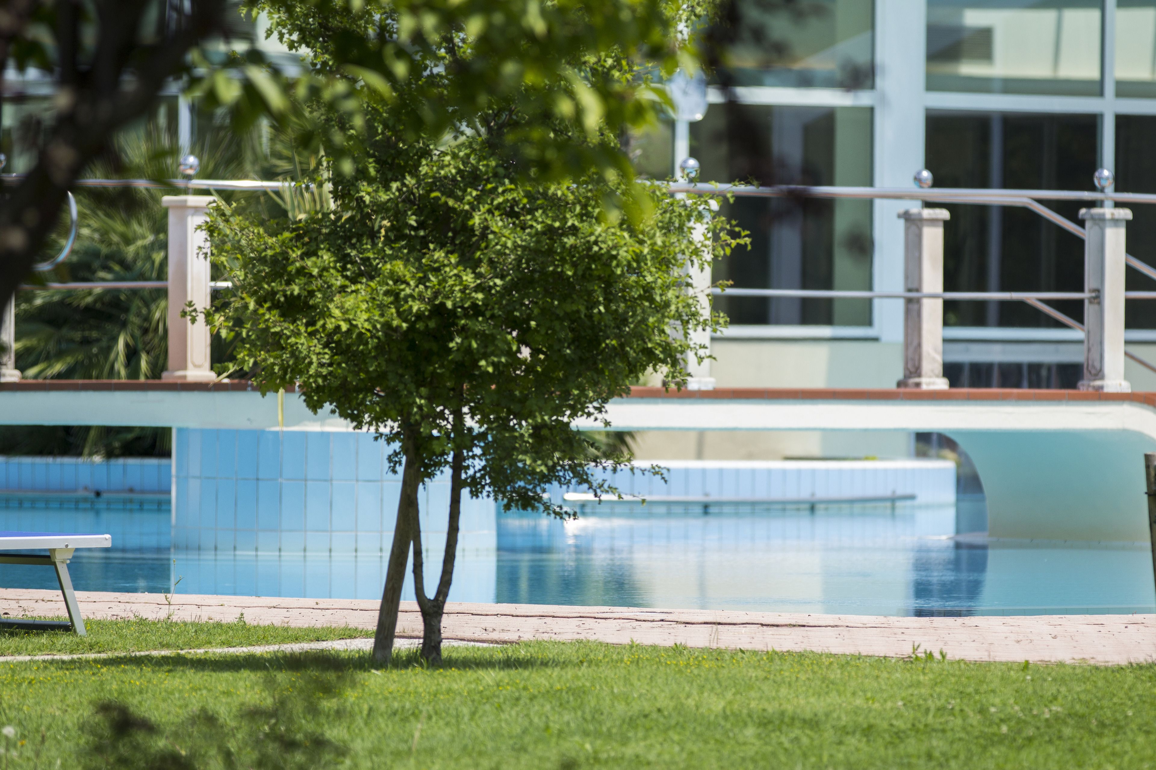 A tree-lined pool area with a bench and a modern building in the background.
