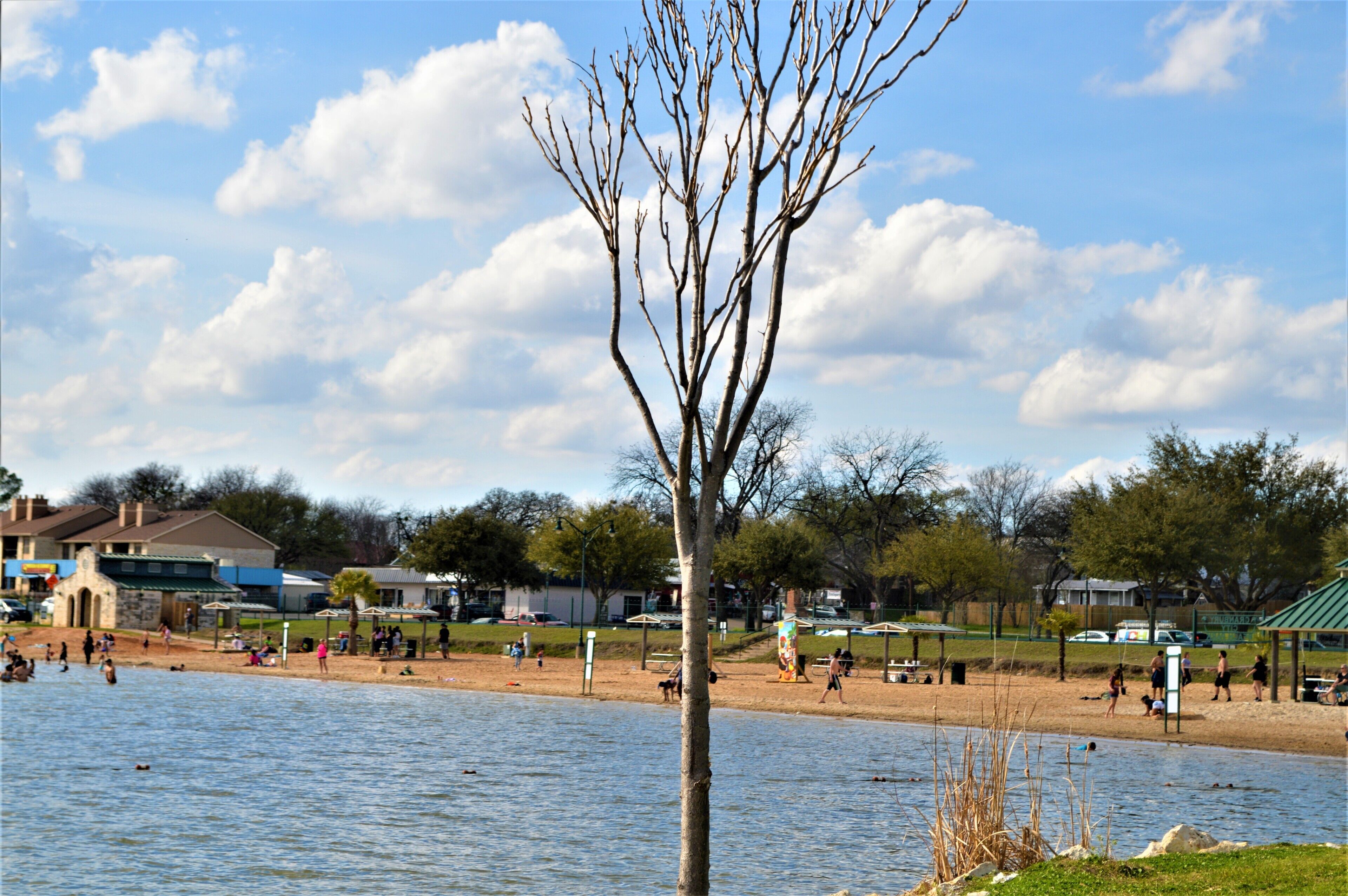 Un parque junto al lago con una playa de arena, algunos árboles y un cielo despejado.
