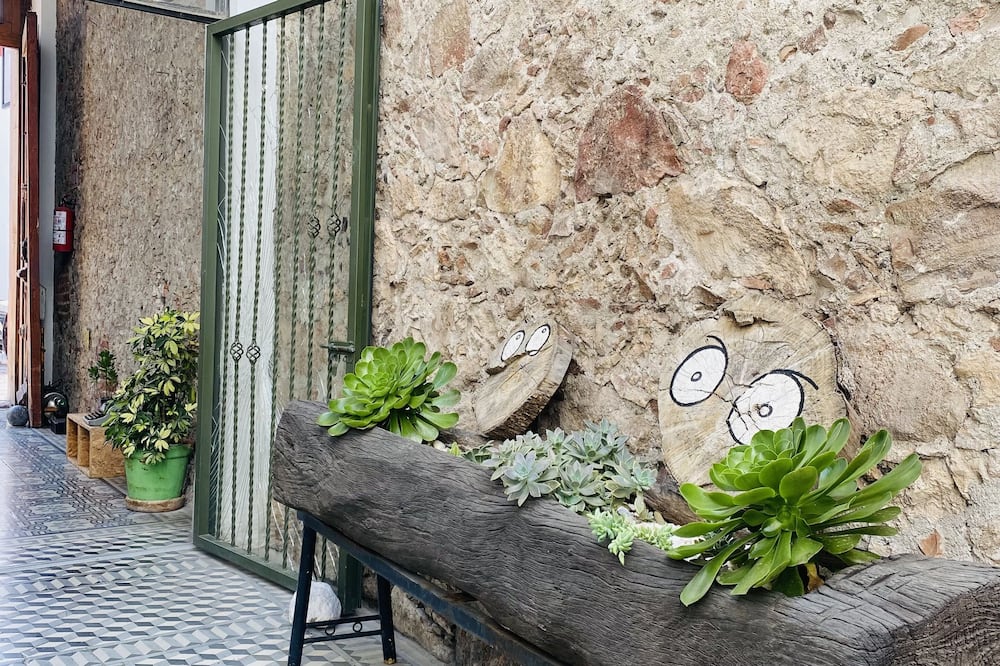 Kuku Rukú Querétaro
