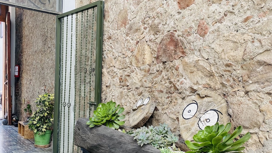 Kuku Rukú Querétaro