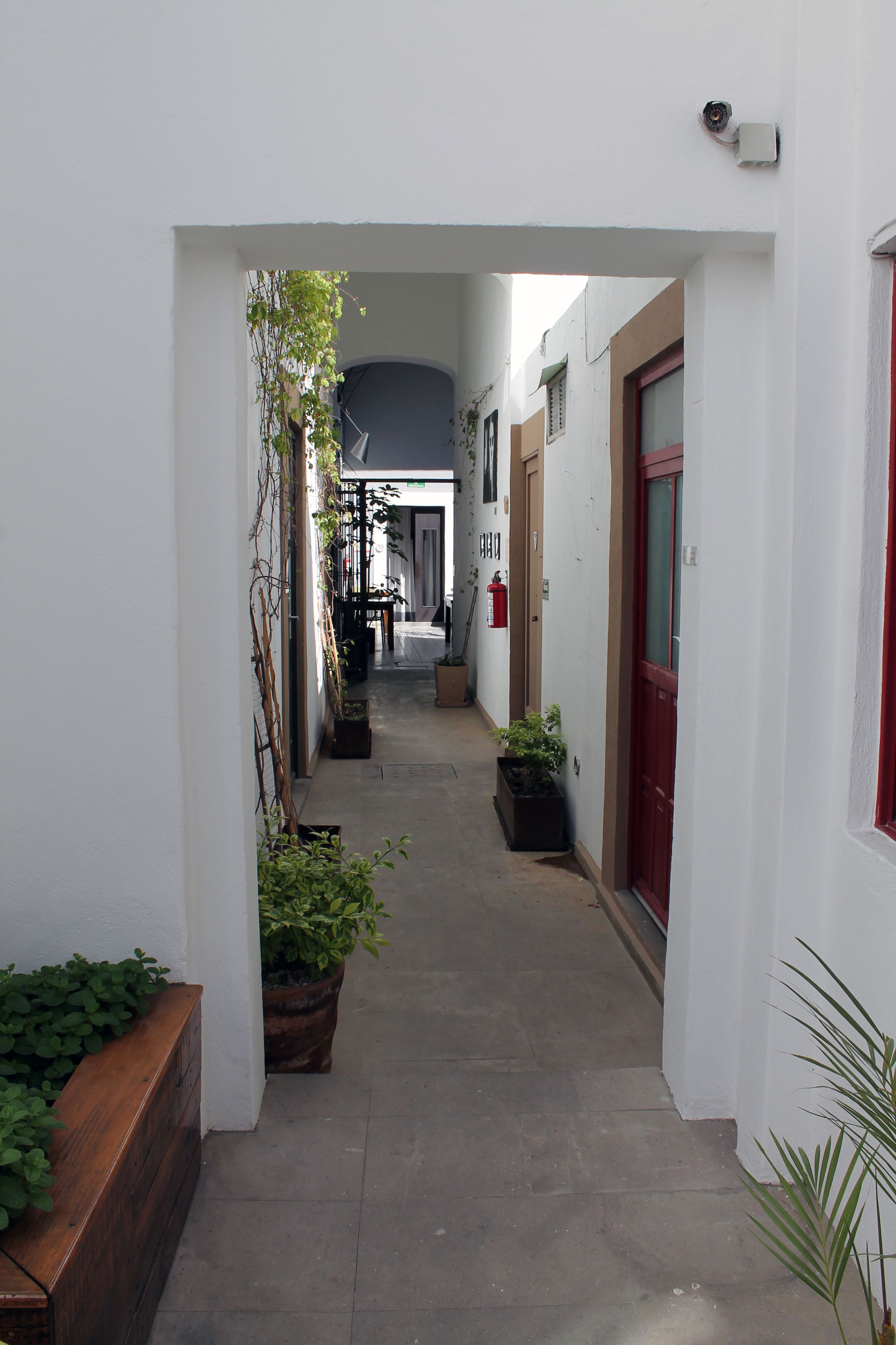 A narrow corridor with white walls, potted plants, and a red door at the end.