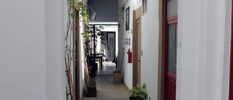 A narrow corridor with white walls, potted plants, and a red door at the end.