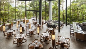A spacious indoor dining area with large windows offering a view of lush greenery. Tables are neatly arranged with chairs, and there are several standing lamps providing lighting. - Mashpi Lodge (Pacto)