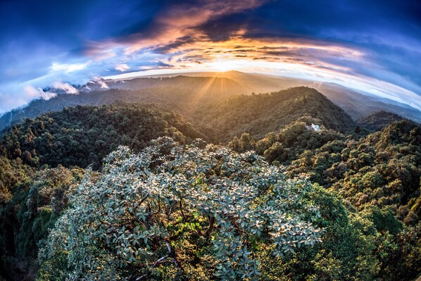 A panoramic view of a mountainous landscape with dense forestation and a clear sky.