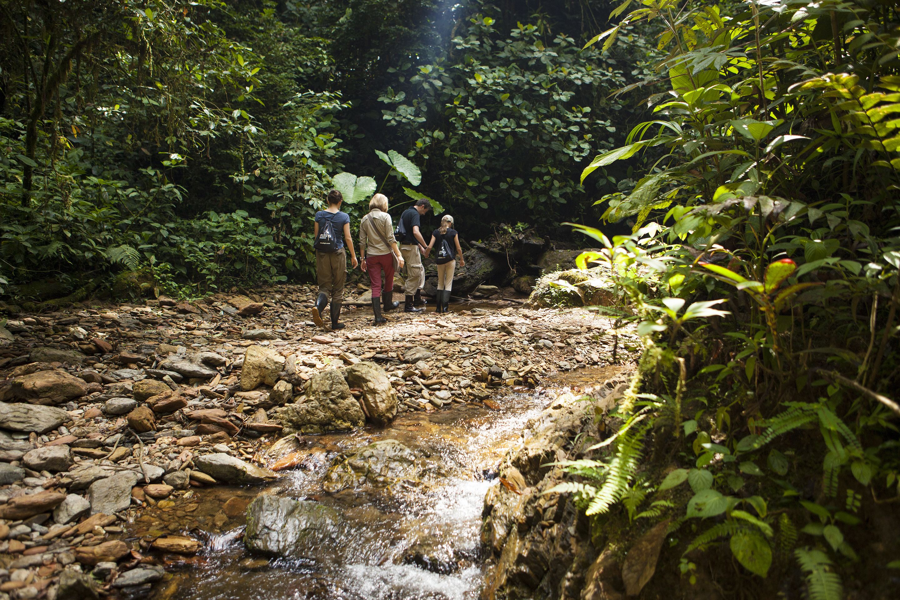 Un grupo de personas caminando por un sendero rocoso en un área boscosa con un arroyo.