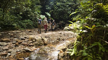 Un grupo de personas caminando por un sendero rocoso en un área boscosa con un arroyo.