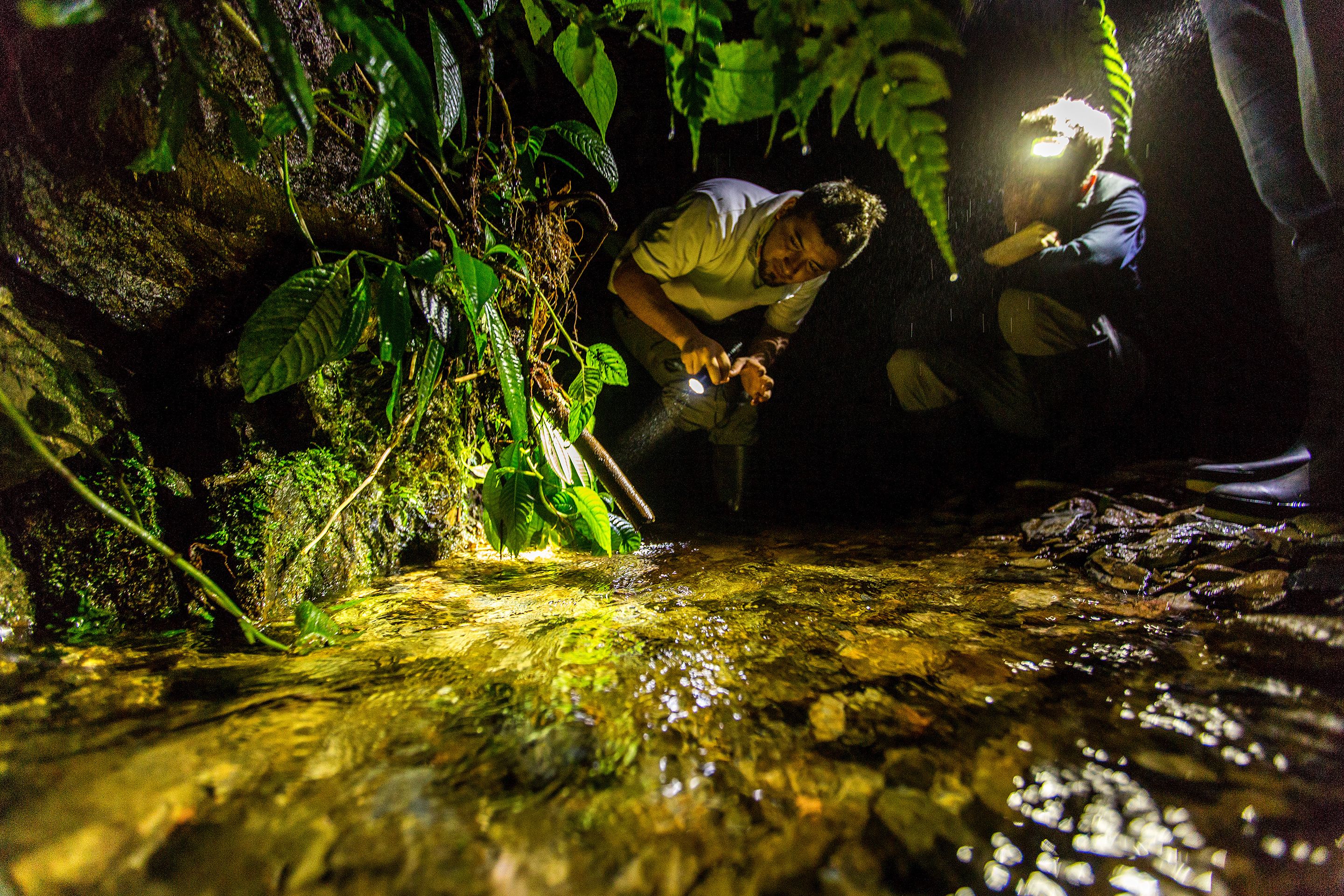 A person examining a stream in a cave with natural rock formations and vegetation.