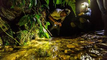 A person examining a stream in a cave with natural rock formations and vegetation.