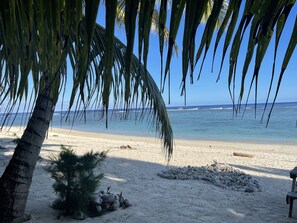 A beach with palm trees, a sandy shore, and the ocean in the background.