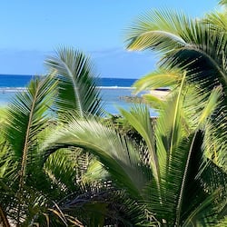 Beach/ocean view