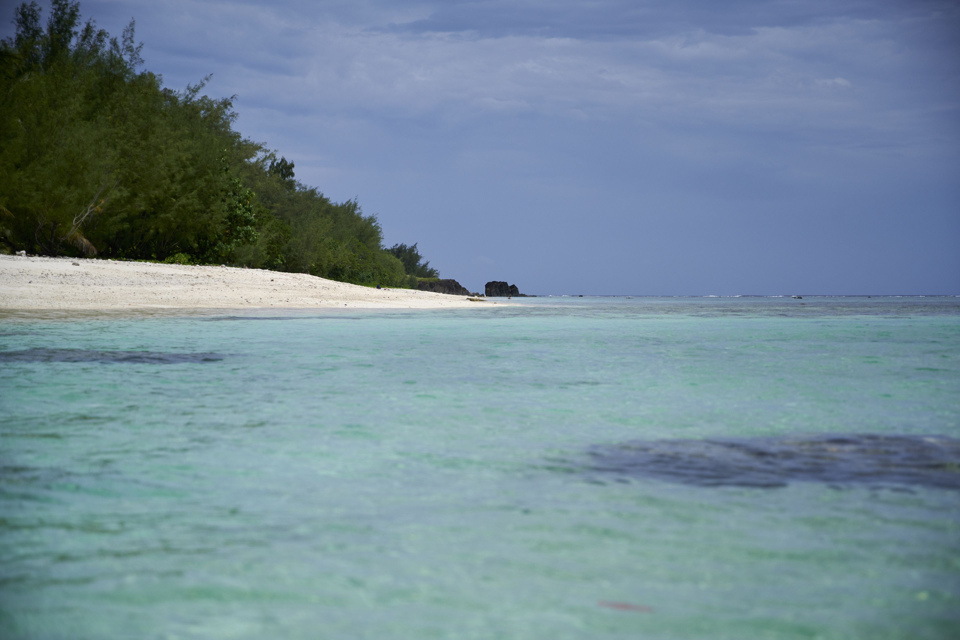 Ein Strand mit klarem türkisblauem Wasser, einem sandigen Ufer und üppiger grüner Vegetation.