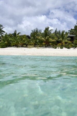 A beach with clear turquoise water, palm trees, and a white sandy shore. - Rarotonga Villas (Rarotonga)