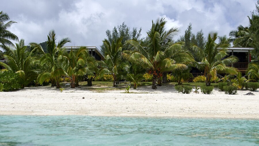 Rarotonga Villas