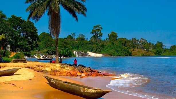 Una playa con barcos, una palmera y una cascada al fondo.